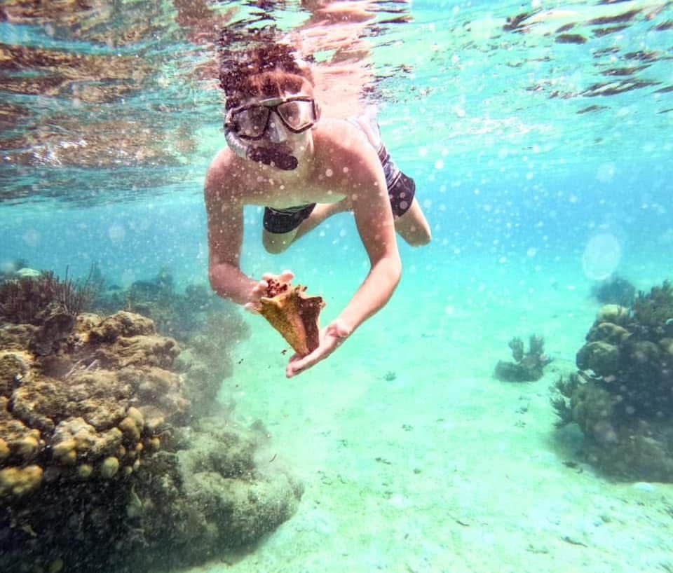 City Tour & Snorkel